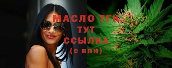 стаф Вяземский