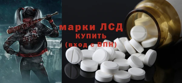 стаф Вяземский