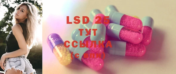 стаф Вяземский