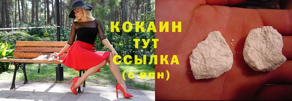 стаф Вяземский