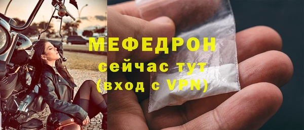 стаф Вяземский